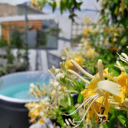 Bed and Breakfast Le Petit Patio Ег-Морт Екстер'єр фото